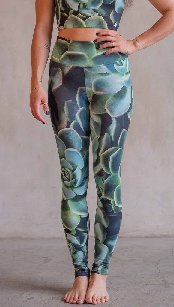 Model wearing WERKSHOP Green Envy Athleisure Leggings. The leggings are printed with a photo-real macro green succulent clusters.