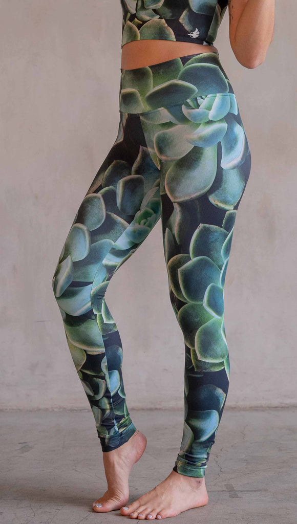 Model wearing WERKSHOP Green Envy Athleisure Leggings. The leggings are printed with a photo-real macro green succulent clusters.