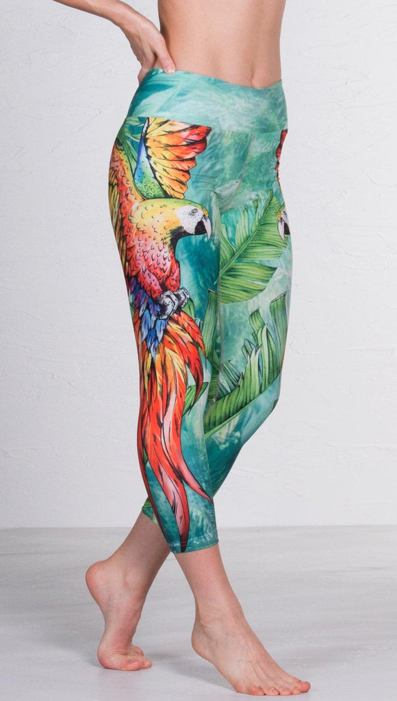 closeup front view of model wearing macaw themed capri leggings